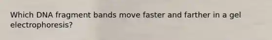 Which DNA fragment bands move faster and farther in a gel electrophoresis?