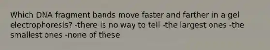 Which DNA fragment bands move faster and farther in a gel electrophoresis? -there is no way to tell -the largest ones -the smallest ones -none of these