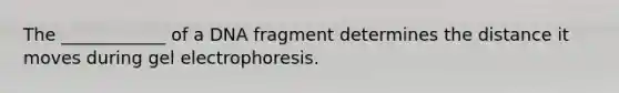 The ____________ of a DNA fragment determines the distance it moves during gel electrophoresis.