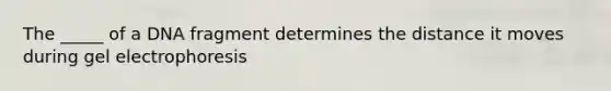The _____ of a DNA fragment determines the distance it moves during gel electrophoresis