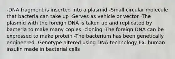 -DNA fragment is inserted into a plasmid -Small circular molecule that bacteria can take up -Serves as vehicle or vector -The plasmid with the foreign DNA is taken up and replicated by bacteria to make many copies -cloning -The foreign DNA can be expressed to make protein -The bacterium has been genetically engineered -Genotype altered using DNA technology Ex. human insulin made in bacterial cells