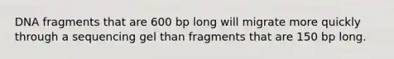 DNA fragments that are 600 bp long will migrate more quickly through a sequencing gel than fragments that are 150 bp long.