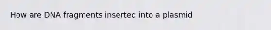 How are DNA fragments inserted into a plasmid