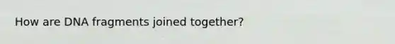 How are DNA fragments joined together?