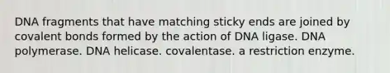 DNA fragments that have matching sticky ends are joined by covalent bonds formed by the action of DNA ligase. DNA polymerase. DNA helicase. covalentase. a restriction enzyme.