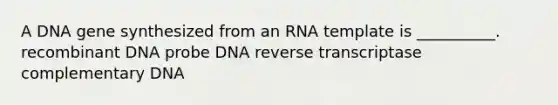 A DNA gene synthesized from an RNA template is __________. recombinant DNA probe DNA reverse transcriptase complementary DNA