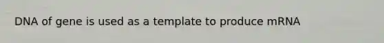 DNA of gene is used as a template to produce mRNA
