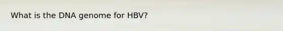 What is the DNA genome for HBV?