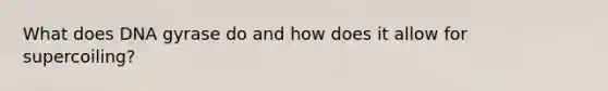 What does DNA gyrase do and how does it allow for supercoiling?