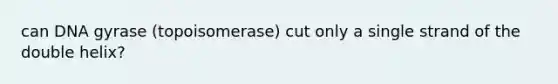 can DNA gyrase (topoisomerase) cut only a single strand of the double helix?