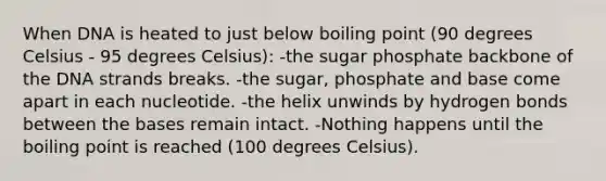 When DNA is heated to just below boiling point (90 degrees Celsius - 95 degrees Celsius): -the sugar phosphate backbone of the DNA strands breaks. -the sugar, phosphate and base come apart in each nucleotide. -the helix unwinds by hydrogen bonds between the bases remain intact. -Nothing happens until the boiling point is reached (100 degrees Celsius).