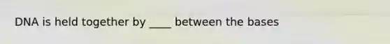 DNA is held together by ____ between the bases