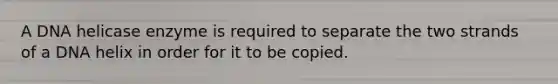 A DNA helicase enzyme is required to separate the two strands of a DNA helix in order for it to be copied.