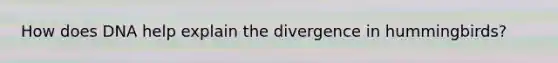 How does DNA help explain the divergence in hummingbirds?