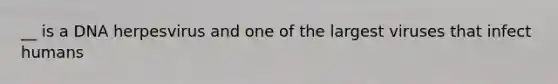 __ is a DNA herpesvirus and one of the largest viruses that infect humans