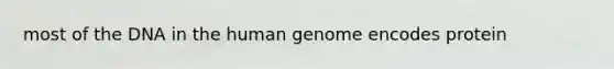 most of the DNA in the <a href='https://www.questionai.com/knowledge/kaQqK73QV8-human-genome' class='anchor-knowledge'>human genome</a> encodes protein