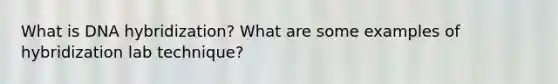 What is DNA hybridization? What are some examples of hybridization lab technique?