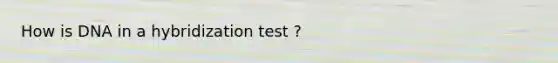 How is DNA in a hybridization test ?