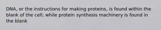 DNA, or the instructions for making proteins, is found within the blank of the cell; while <a href='https://www.questionai.com/knowledge/kVyphSdCnD-protein-synthesis' class='anchor-knowledge'>protein synthesis</a> machinery is found in the blank