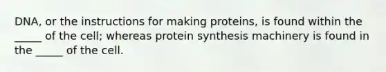 DNA, or the instructions for making proteins, is found within the _____ of the cell; whereas protein synthesis machinery is found in the _____ of the cell.