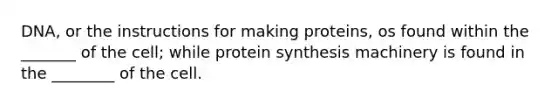 DNA, or the instructions for making proteins, os found within the _______ of the cell; while protein synthesis machinery is found in the ________ of the cell.