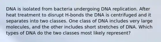 DNA is isolated from bacteria undergoing DNA replication. After heat treatment to disrupt H-bonds the DNA is centrifuged and it separates into two classes. One class of DNA includes very large molecules, and the other includes short stretches of DNA. Which types of DNA do the two classes most likely represent?