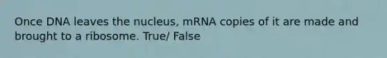 Once DNA leaves the nucleus, mRNA copies of it are made and brought to a ribosome. True/ False