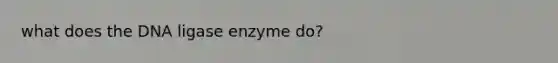 what does the DNA ligase enzyme do?