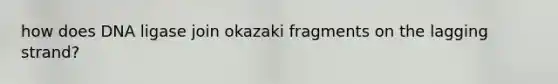 how does DNA ligase join okazaki fragments on the lagging strand?