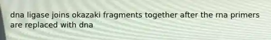 dna ligase joins okazaki fragments together after the rna primers are replaced with dna