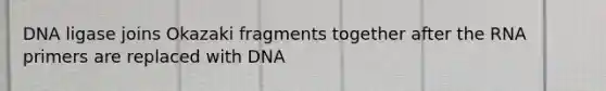 DNA ligase joins Okazaki fragments together after the RNA primers are replaced with DNA