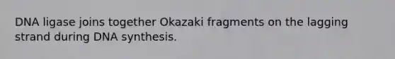 DNA ligase joins together Okazaki fragments on the lagging strand during DNA synthesis.