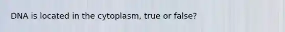 DNA is located in the cytoplasm, true or false?