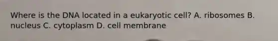 Where is the DNA located in a eukaryotic cell? A. ribosomes B. nucleus C. cytoplasm D. cell membrane