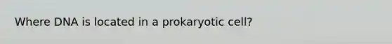 Where DNA is located in a prokaryotic cell?