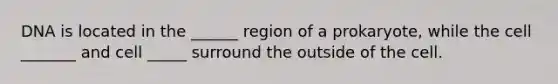 DNA is located in the ______ region of a prokaryote, while the cell _______ and cell _____ surround the outside of the cell.