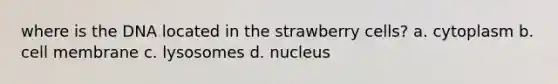 where is the DNA located in the strawberry cells? a. cytoplasm b. cell membrane c. lysosomes d. nucleus