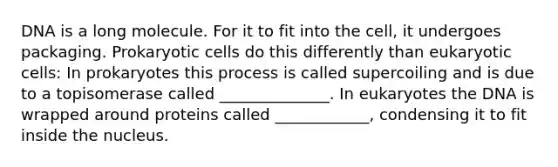 DNA is a long molecule. For it to fit into the cell, it undergoes packaging. Prokaryotic cells do this differently than eukaryotic cells: In prokaryotes this process is called supercoiling and is due to a topisomerase called ______________. In eukaryotes the DNA is wrapped around proteins called ____________, condensing it to fit inside the nucleus.
