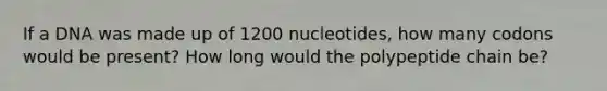 If a DNA was made up of 1200 nucleotides, how many codons would be present? How long would the polypeptide chain be?