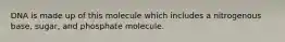 DNA is made up of this molecule which includes a nitrogenous base, sugar, and phosphate molecule.
