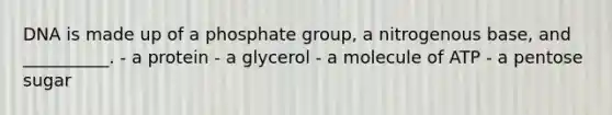 DNA is made up of a phosphate group, a nitrogenous base, and __________. - a protein - a glycerol - a molecule of ATP - a pentose sugar