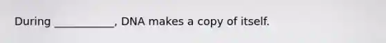 During ___________, DNA makes a copy of itself.