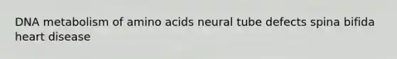 DNA metabolism of amino acids neural tube defects spina bifida heart disease