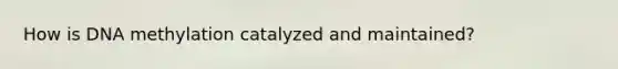 How is DNA methylation catalyzed and maintained?