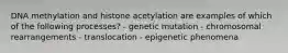 DNA methylation and histone acetylation are examples of which of the following processes? - genetic mutation - chromosomal rearrangements - translocation - epigenetic phenomena