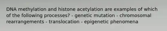 DNA methylation and histone acetylation are examples of which of the following processes? - genetic mutation - chromosomal rearrangements - translocation - epigenetic phenomena