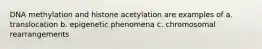 DNA methylation and histone acetylation are examples of a. translocation b. epigenetic phenomena c. chromosomal rearrangements