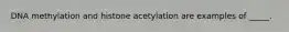 DNA methylation and histone acetylation are examples of _____.