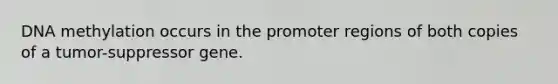 DNA methylation occurs in the promoter regions of both copies of a tumor-suppressor gene.