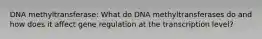 DNA methyltransferase: What do DNA methyltransferases do and how does it affect gene regulation at the transcription level?